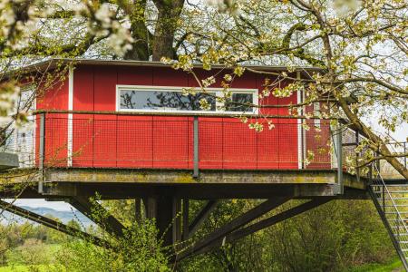 Frühling_Baumhaus 3.jpg