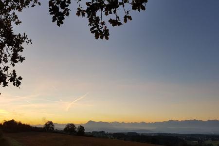 Frühling_Baumhaus 4.jpg