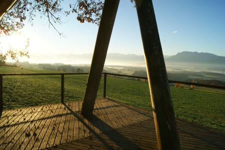 Herbst_Baumahus 1.JPG