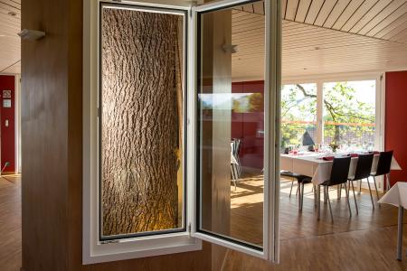 Herbst_Baumhaus 2.jpg