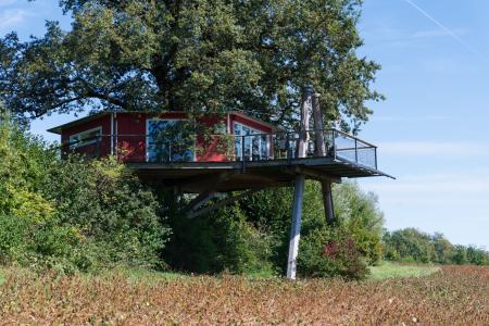 Herbst_Baumhaus 4.jpg