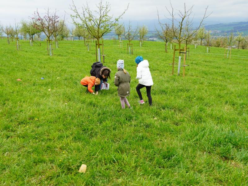 Rätsel lösen-Team Event.JPG